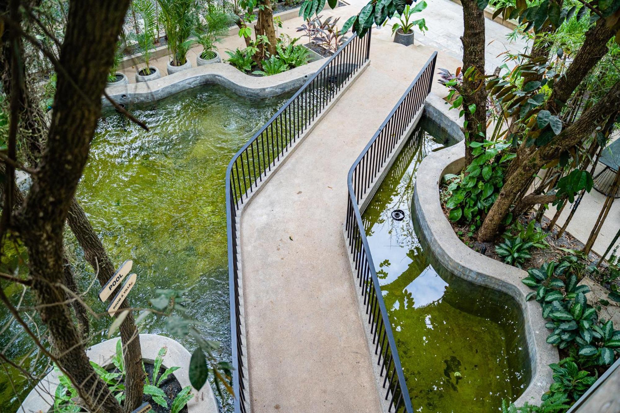 Rainforest Hotel By Nsun Кампот Экстерьер фото
